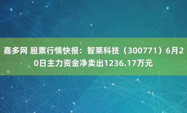 嘉多网 股票行情快报：智莱科技（300771）6月20日主力资金净卖出1236.17万元