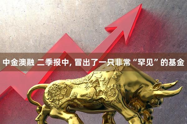 中金澳融 二季报中, 冒出了一只非常“罕见”的基金