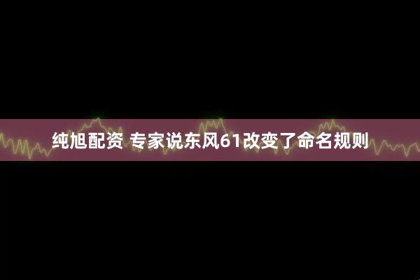纯旭配资 专家说东风61改变了命名规则