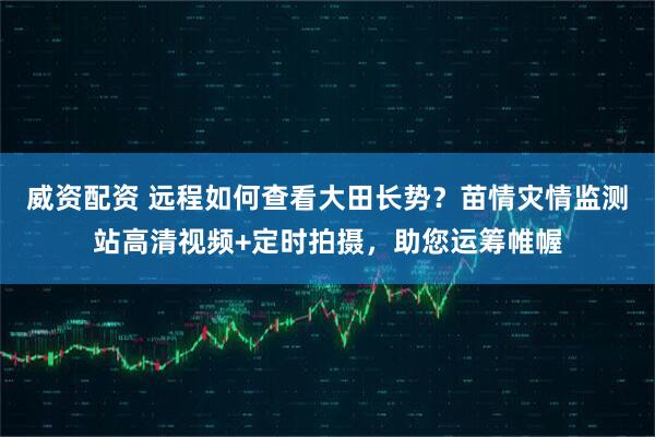 威资配资 远程如何查看大田长势？苗情灾情监测站高清视频+定时拍摄，助您运筹帷幄